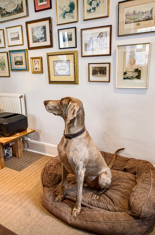 White Hart Inn Wells Eksteriør billede